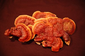 apfreishi